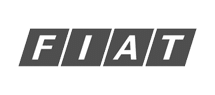 FIAT Argentina - WizHosting Client